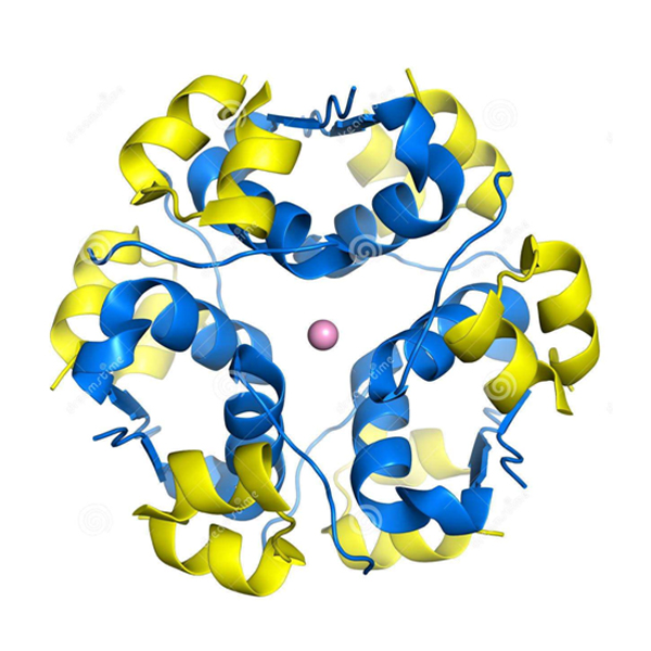 烟台专业的超轻水品牌公司