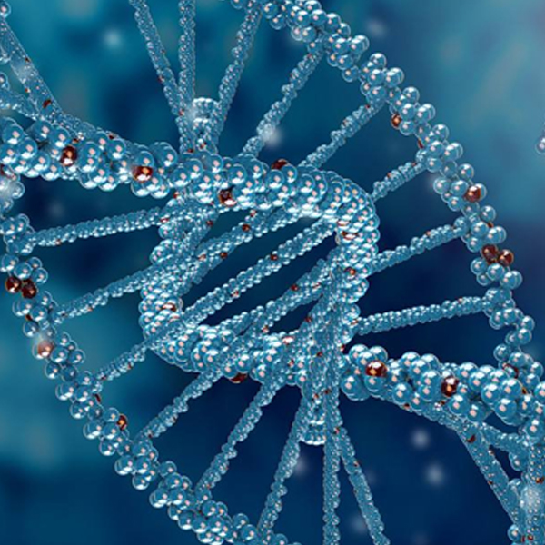 烟台专业的超轻水品牌公司